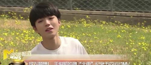 偷偷草网站在线视频,热门在线视频平台的魅力与争议