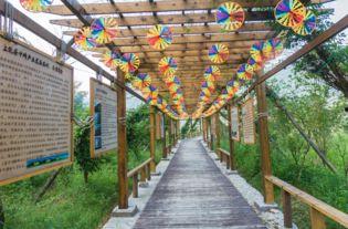 七长廊在线视频,穿越历史长廊，探寻文化瑰宝的视觉之旅