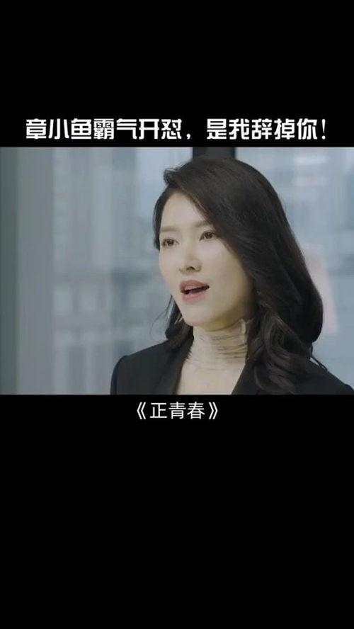 正青春免费高清在线视频,免费高清，青春记忆的视听盛宴