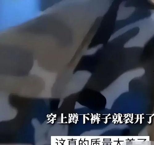 薄如蝉翼在线视频,揭秘在线视频背后的故事与魅力