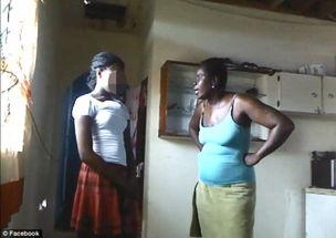 加勒比在线视频dvd,揭秘神秘海域的数字宝藏之旅