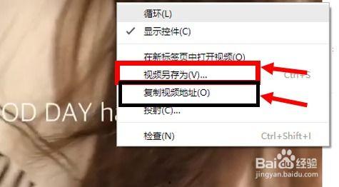 ins网页版在线视频,精彩瞬间与时尚趋势解析