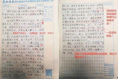 在线视频分享作文,创意与传播的盛宴