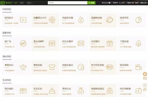 在线视频哪个划算,揭秘哪个更划算